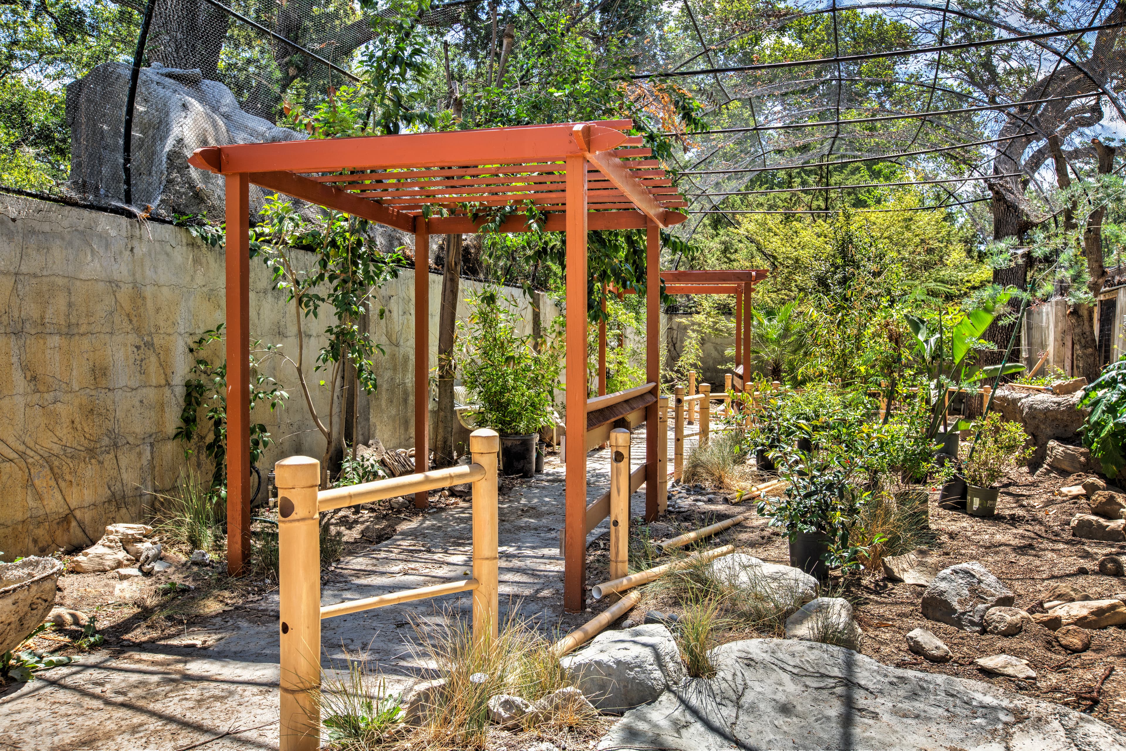 Outdoor garden with wooden pergolas, plants, stone path, and overhead netting