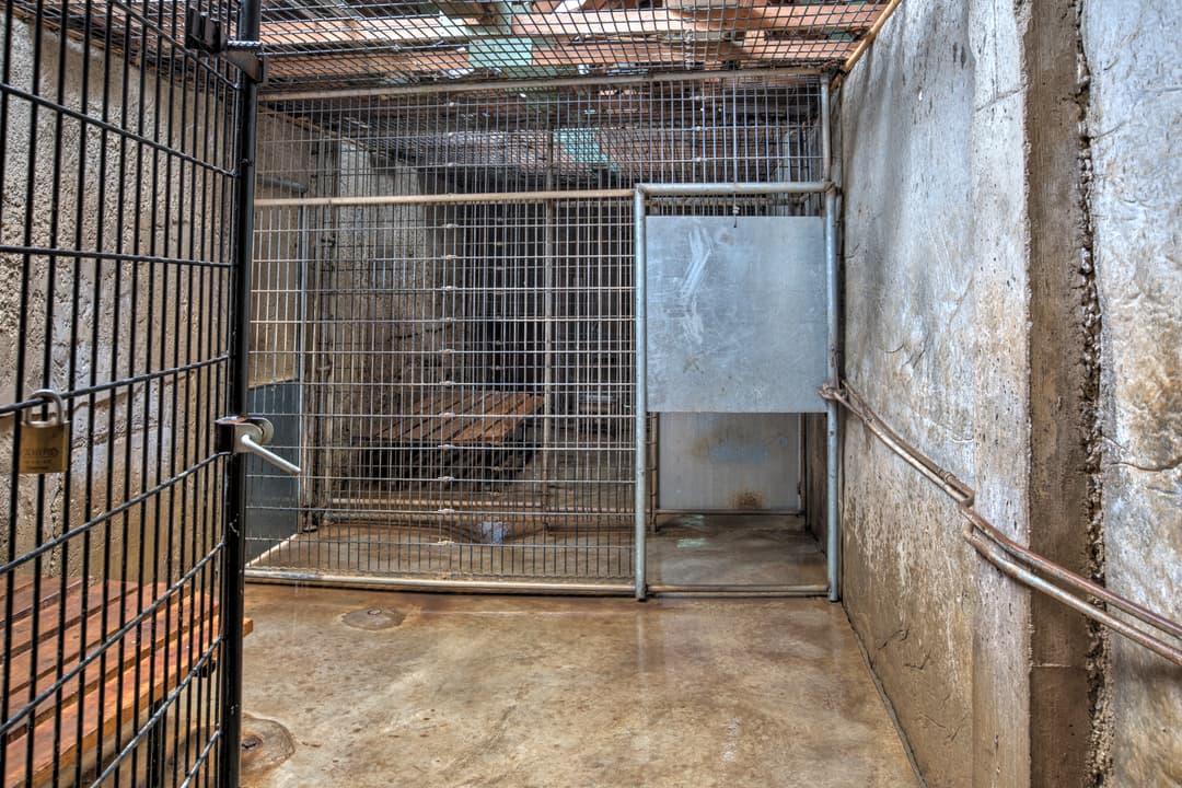 Empty metal animal cage in concrete enclosure with bench and padlocked door