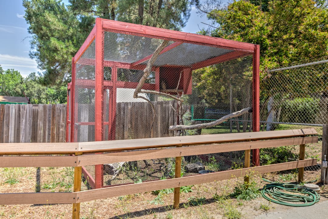 Outdoor animal enclosure with wood and wire fence, trees, and branches inside
