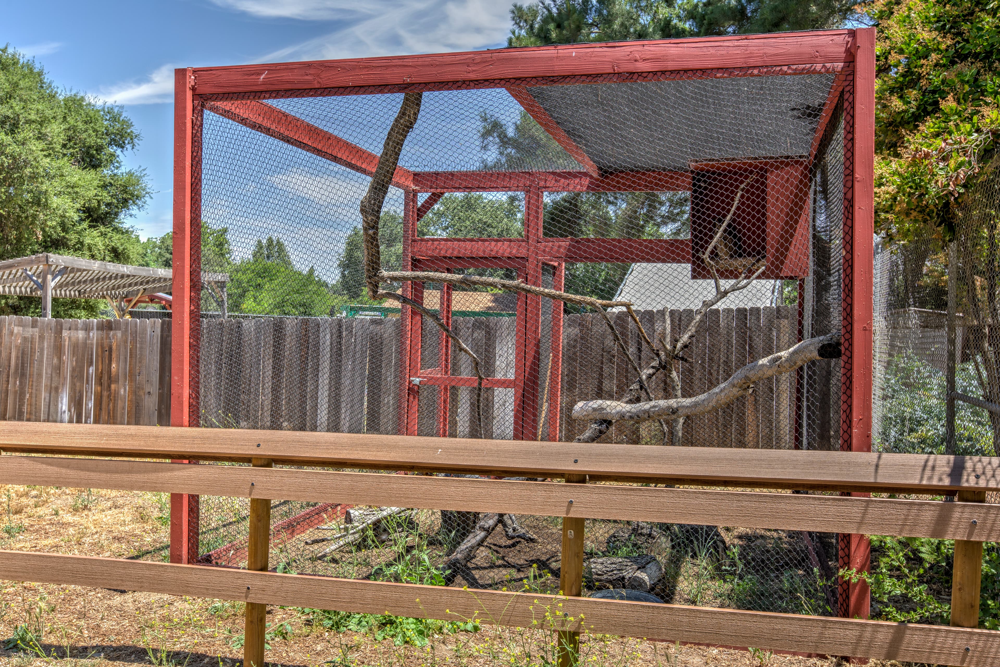 Outdoor bird aviary enclosure with wooden frame and mesh wire