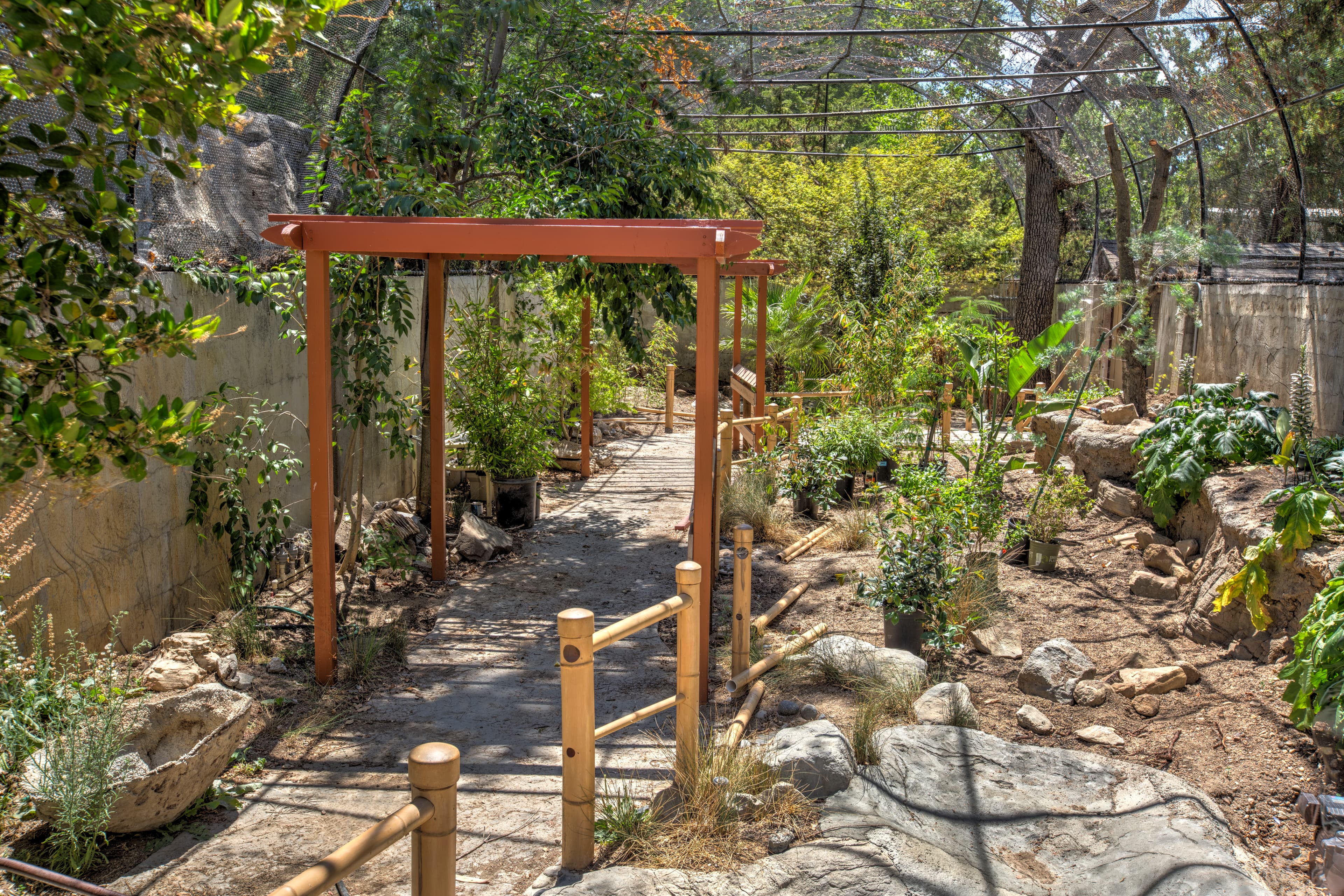 Garden pathway with wooden trellis and lush greenery under sunlight