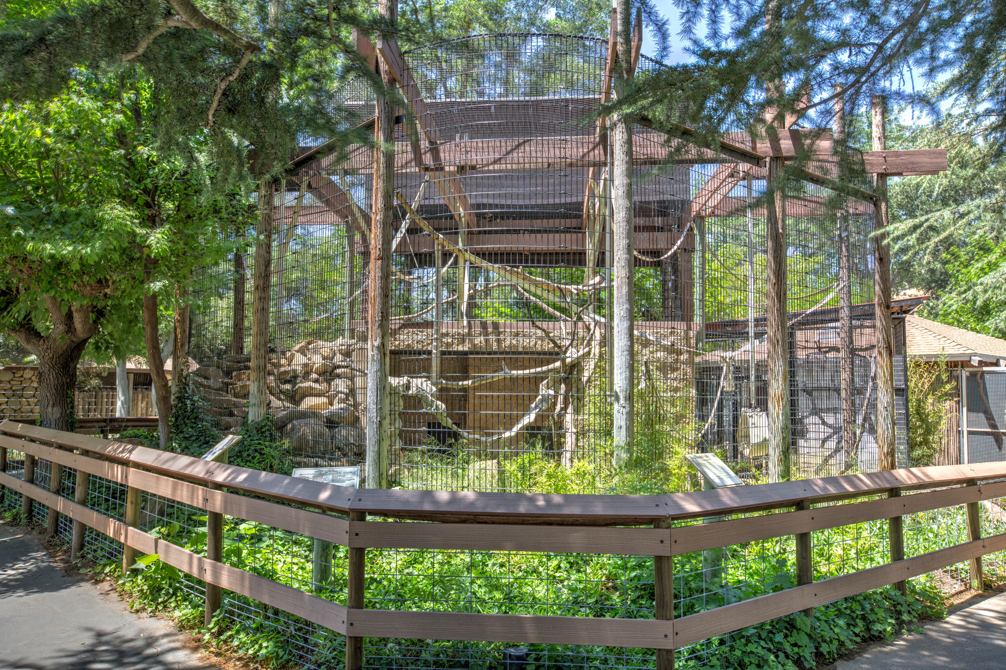 Outdoor zoo enclosure with trees, wooden beams, and ropes for climbing animals