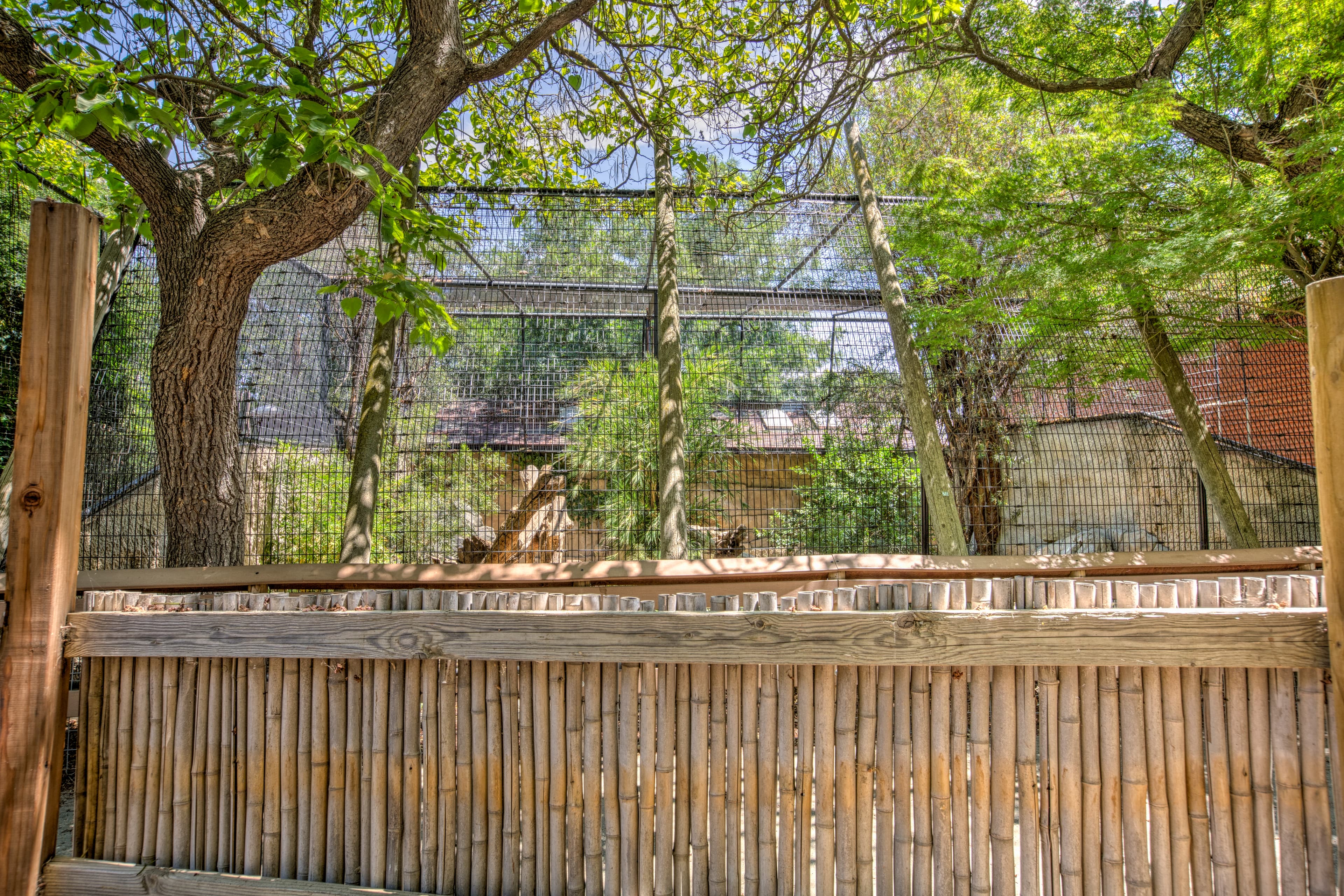 Outdoor zoo enclosure with trees and wire mesh fencing