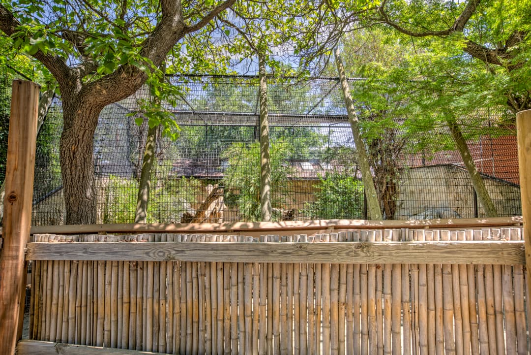 Outdoor zoo enclosure with trees and wire mesh fencing