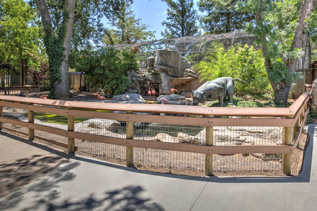 Flamingos in zoo enclosure with statue of tiger and lush greenery